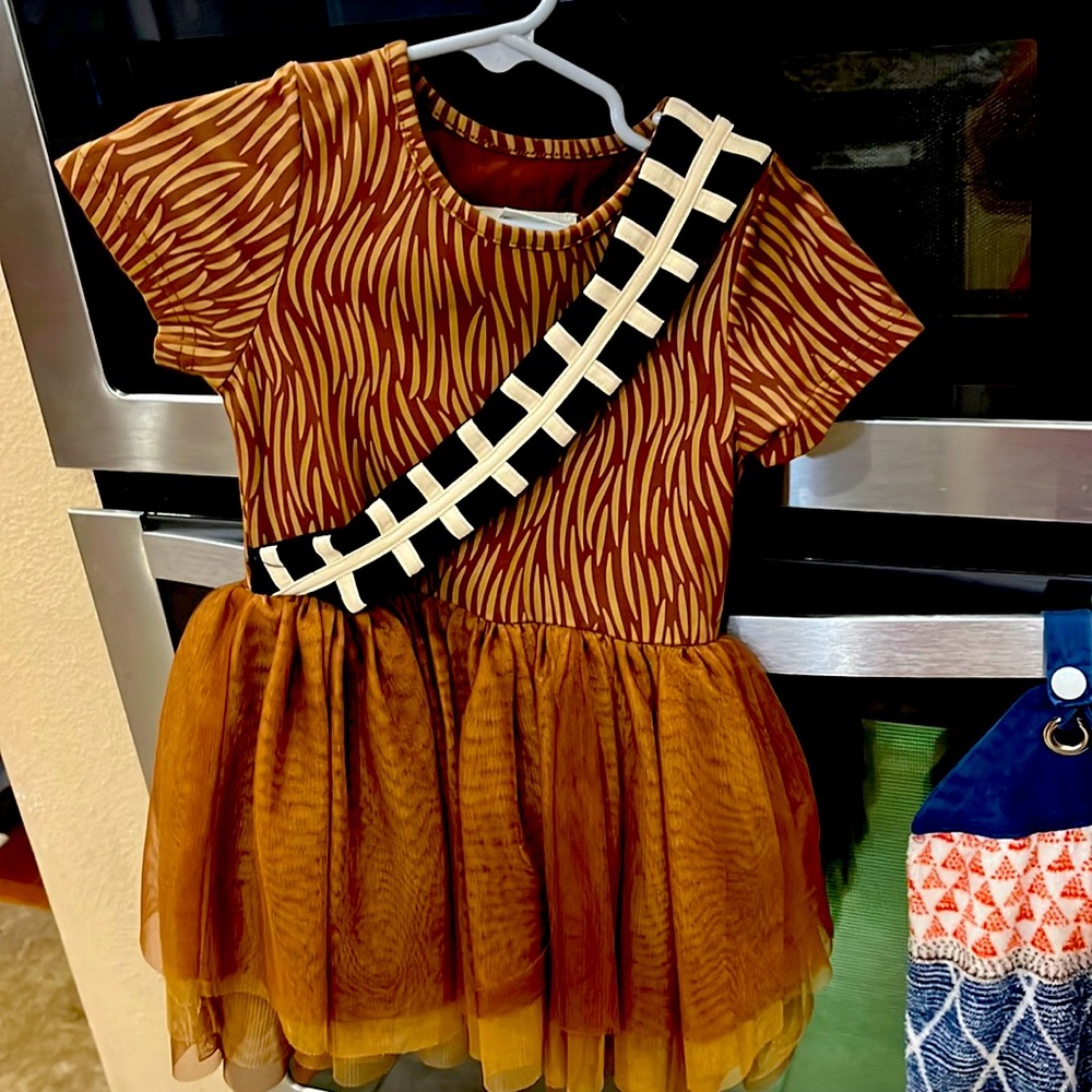 Taylor Joelle - Star Was dress.